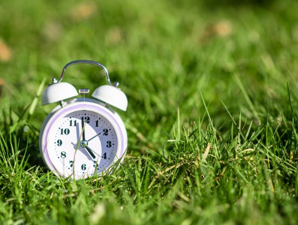 Mastering Sleep: Understanding the Circadian Rhythm and Enhancing Your Well-Being with Blue Bear Sleep